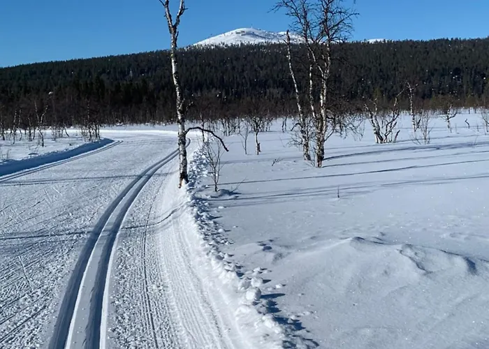 Levin & Golf شقة Kittilä