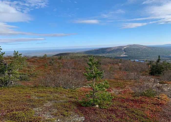 Levin & Golf Kittilä